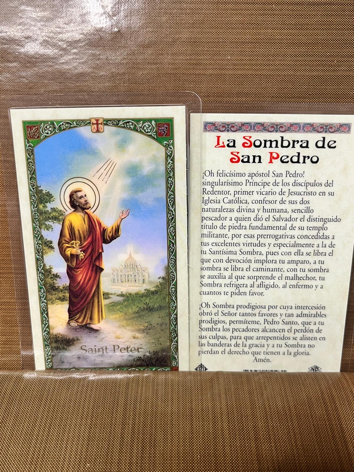 Novena to ST Peter -la Sombra De Sn Pedro Laminated Prayer Cards 2