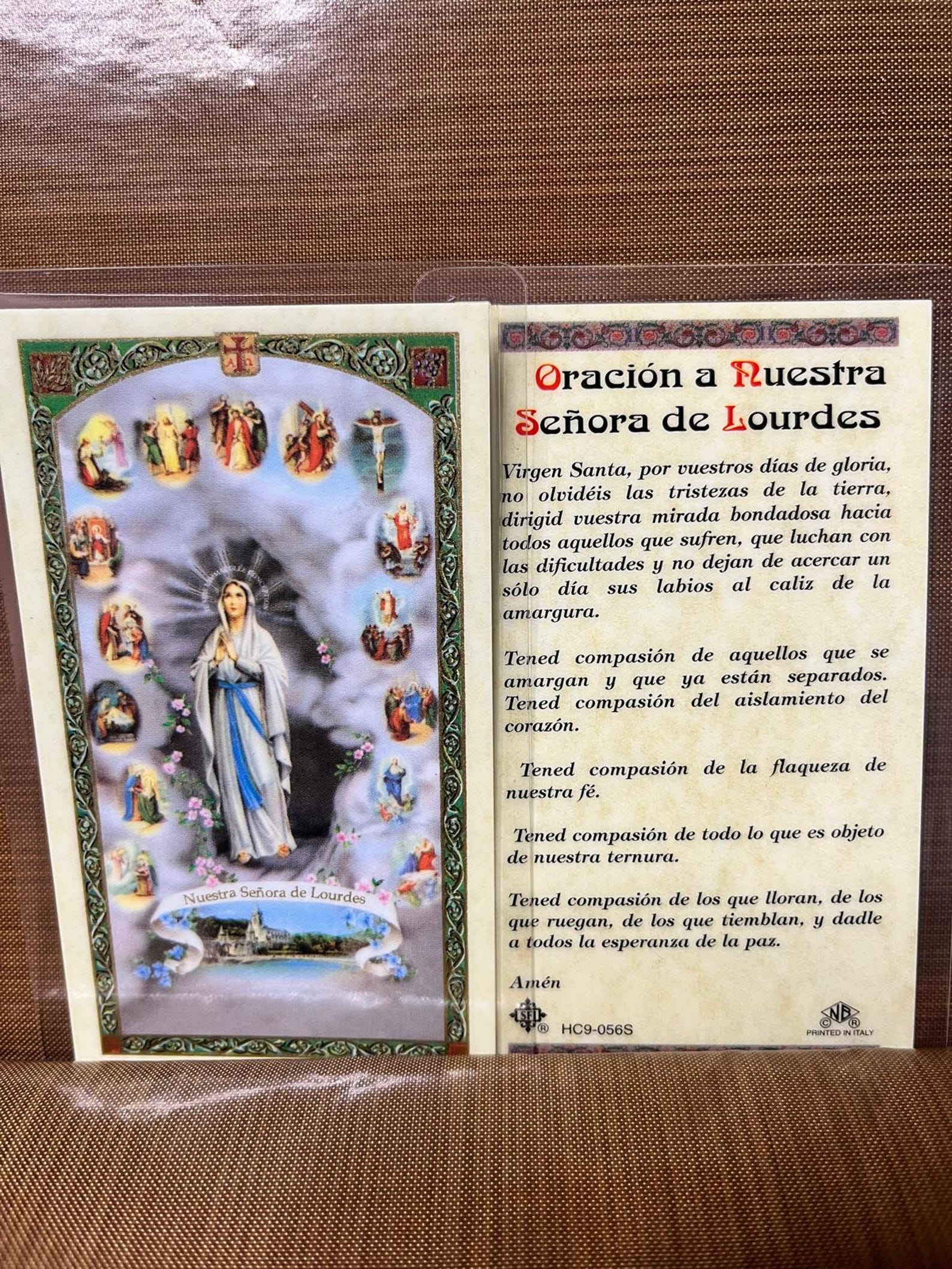 Our Lady of Lourdes - Twenty Mysteries of the Rosary Laminated Prayer ...