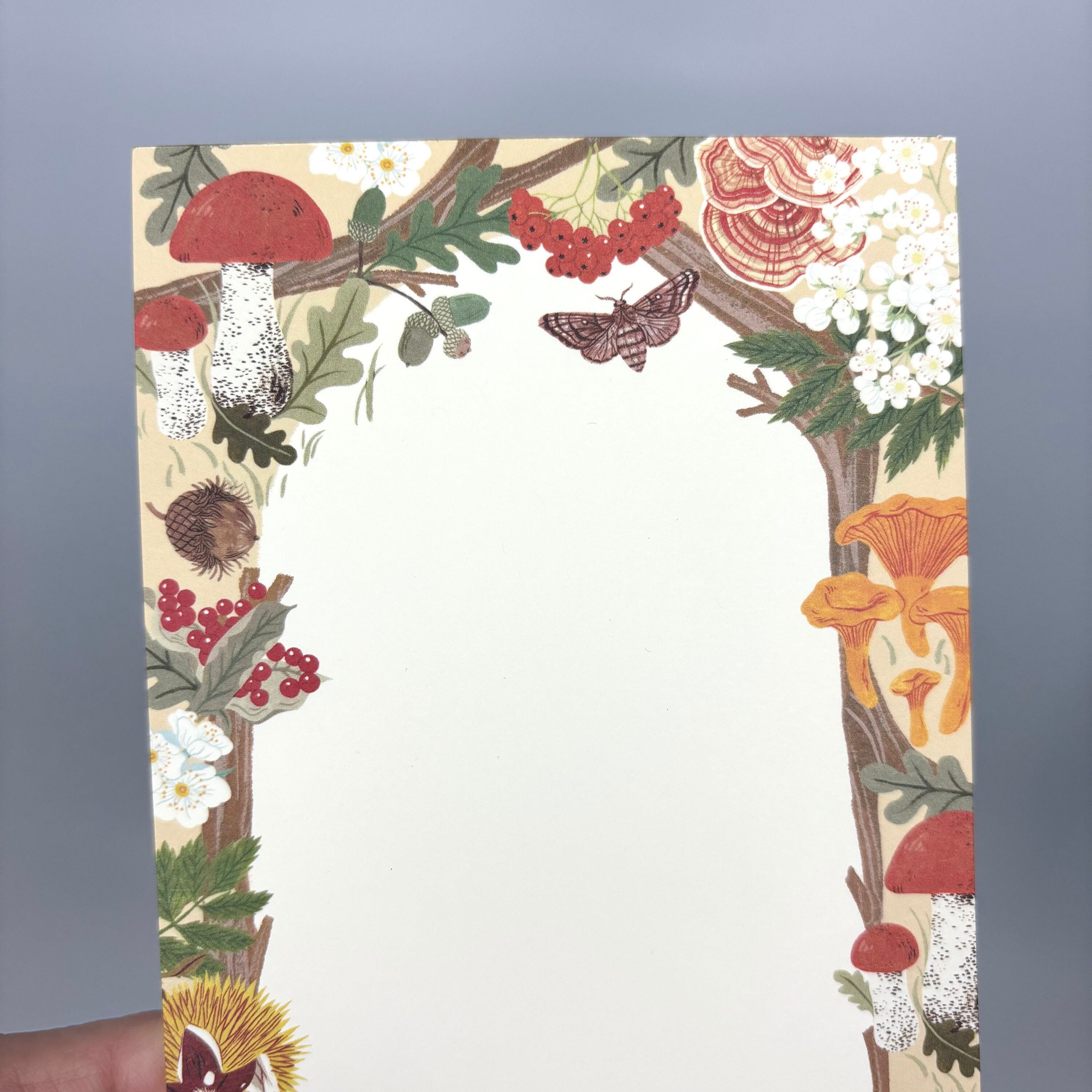Mushroom Notepad: Woodland Forager Design (4x8 In) USA Made - Etsy