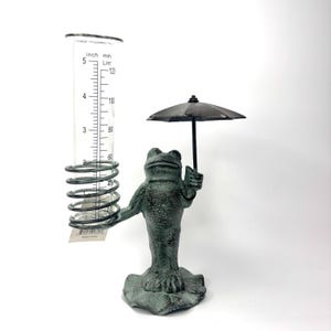 May include: A green frog figurine holding an umbrella, with a glass rain gauge attached to the frog's back. The rain gauge has a scale marked in inches and centimeters.