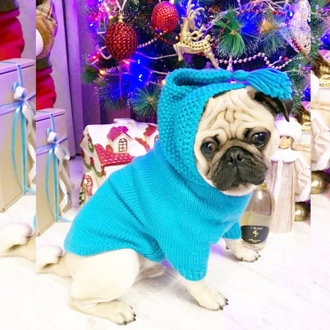 Pug Clothes For Pugs
 Pug clothes Sweater for pugs Dog jacket Pug pullover