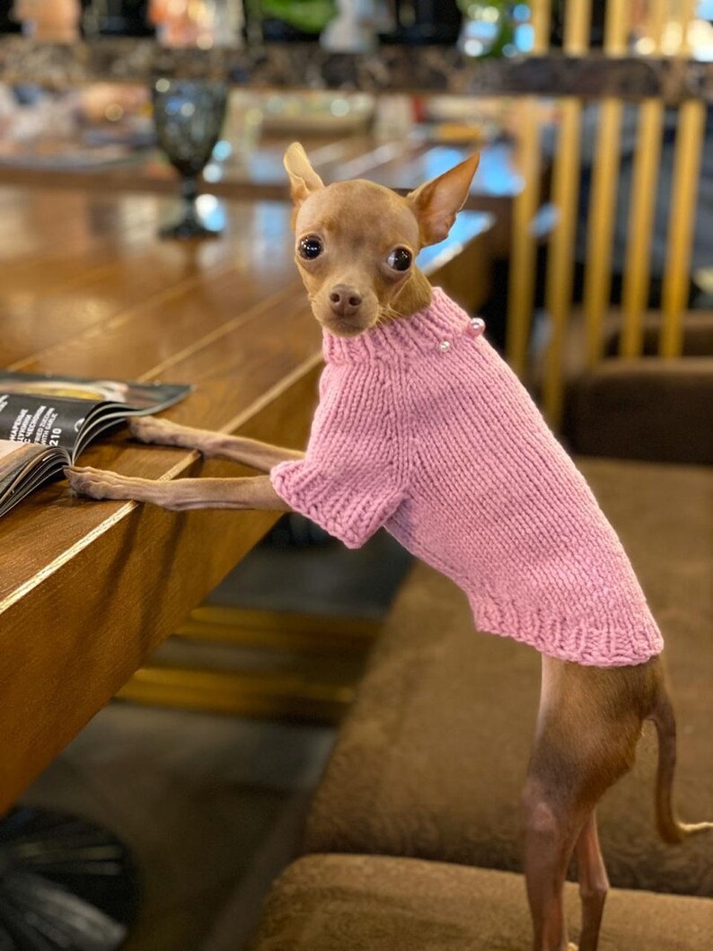 Pink Dog Sweater small dog sweater girl Warm Dog Clothes Etsy