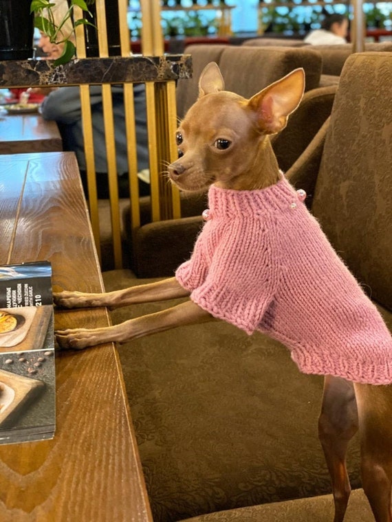 Pink Dog Sweater small dog sweater girl Warm Dog Clothes Etsy