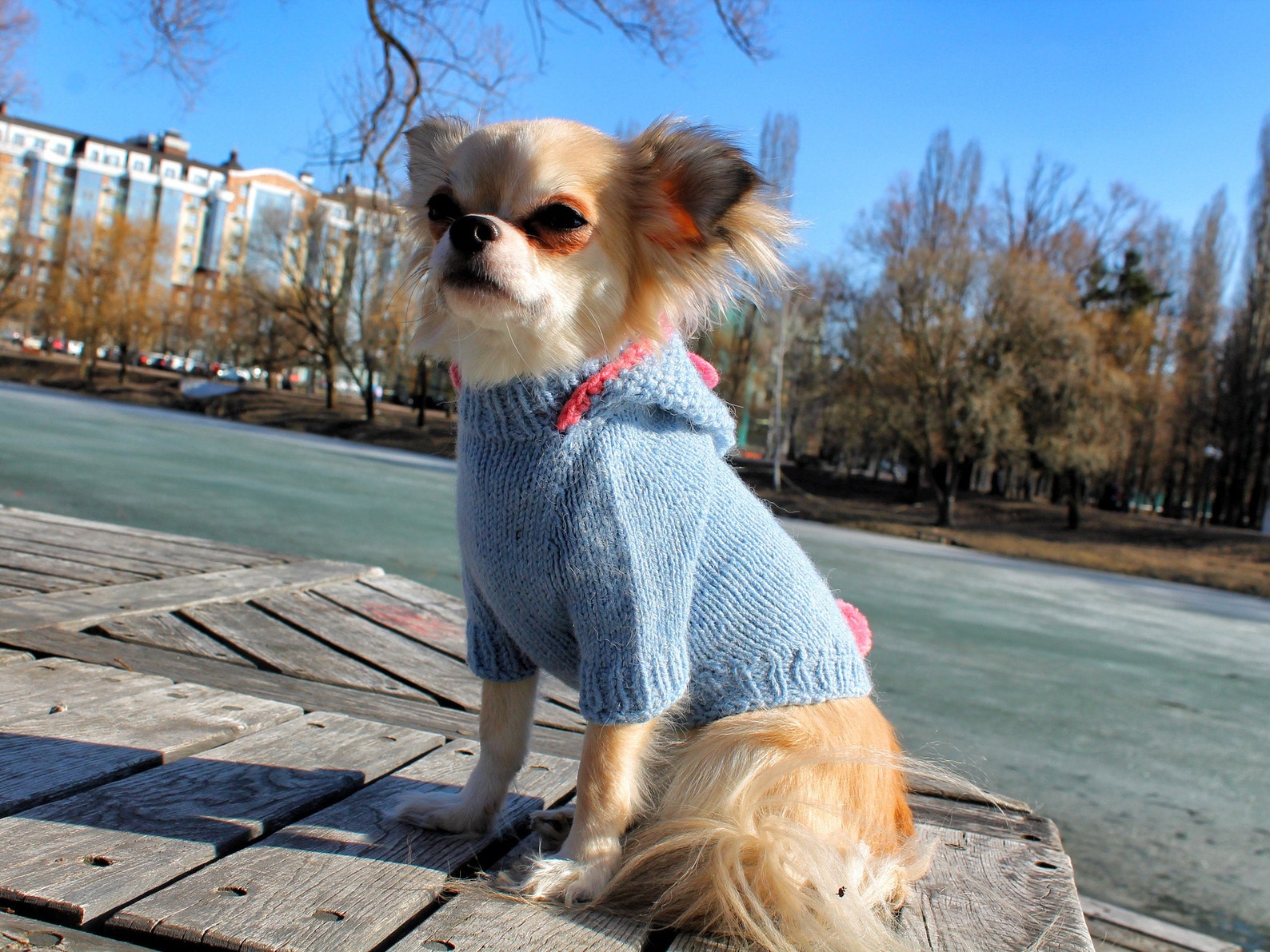 Dog sweaters for small dogs Etsy