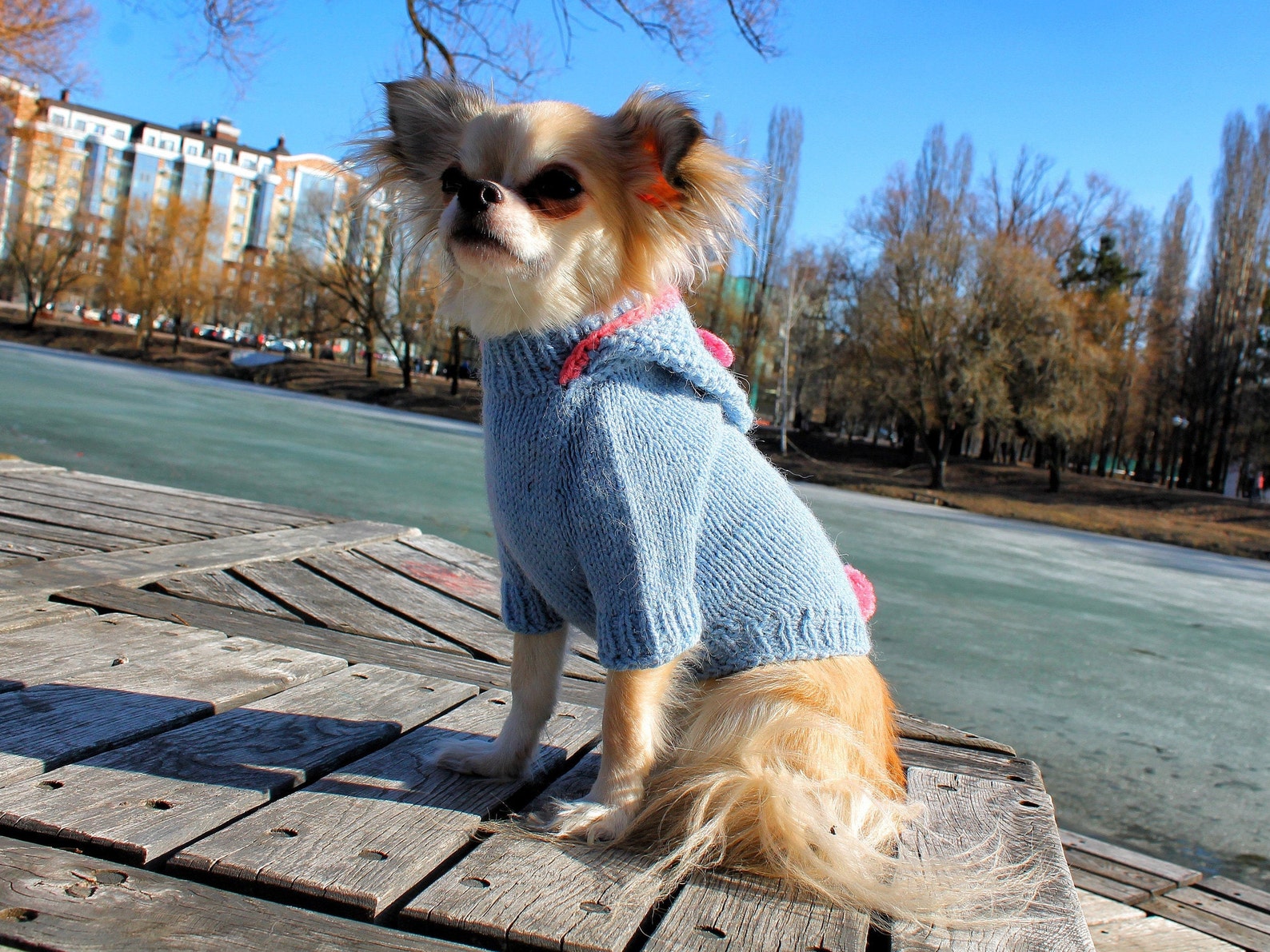 Dog sweaters for small dogs Etsy