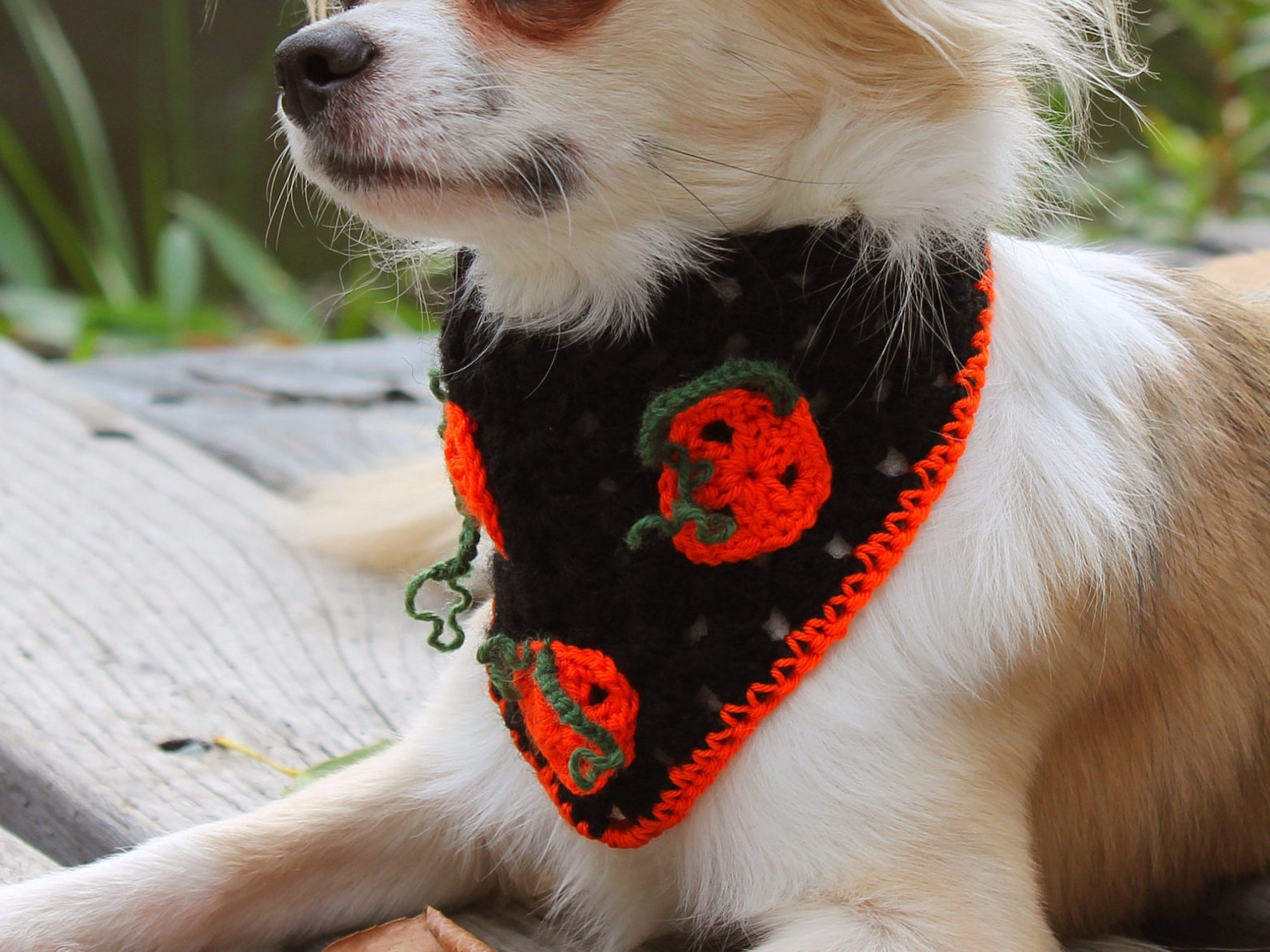 Halloween Dog Bandana Small Dog Bandana Bandanas for Pets Etsy