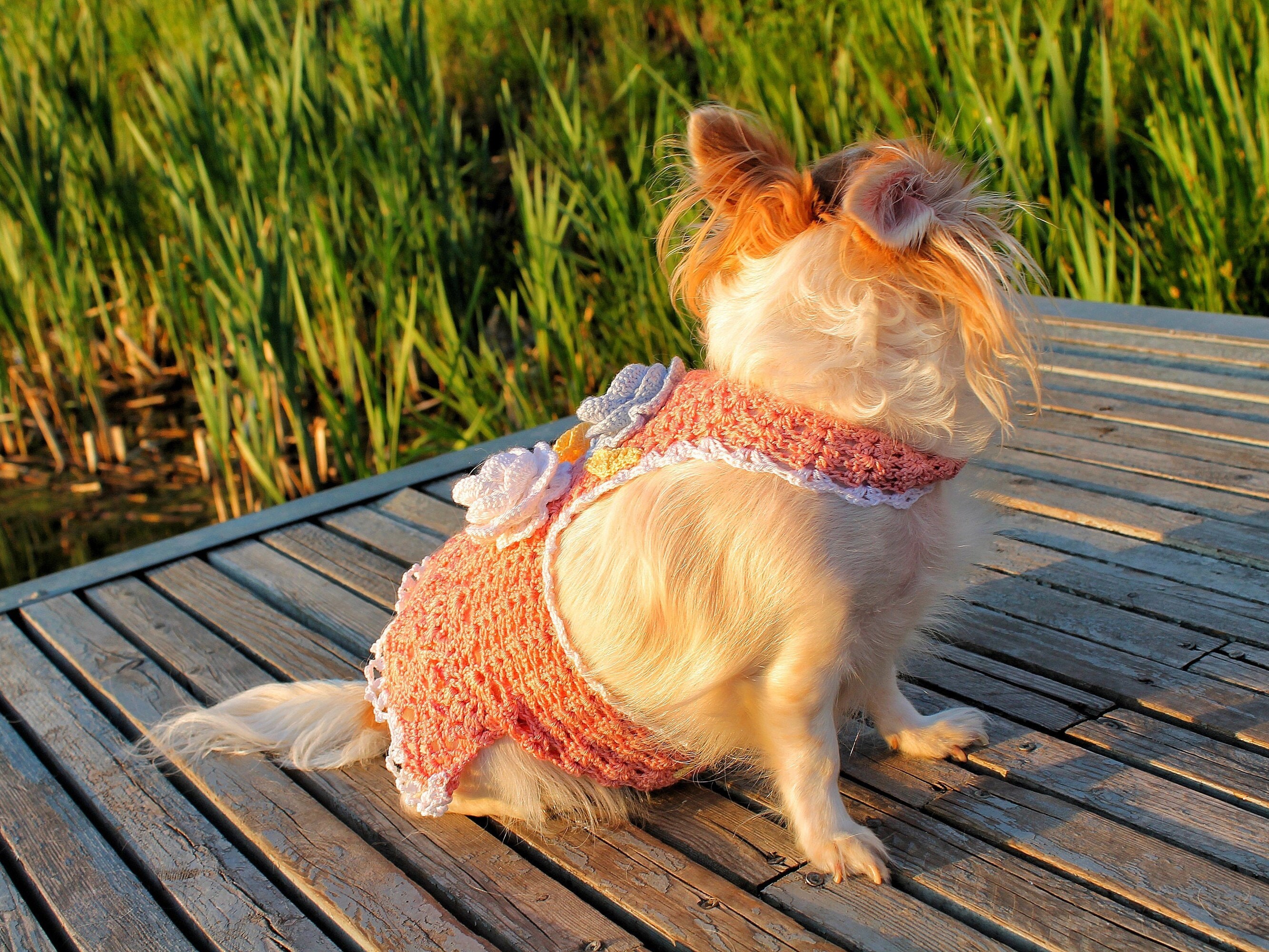 Pink dog dress for dog birthday Etsy