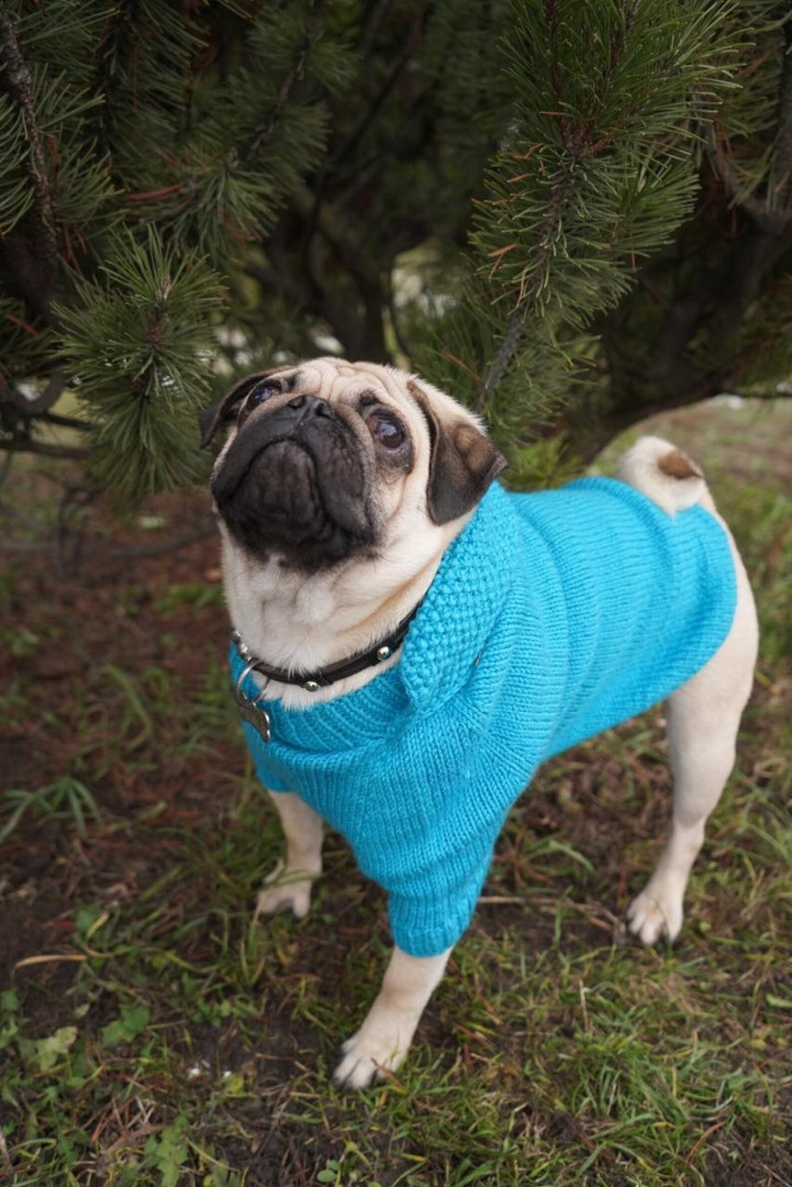 Pug Clothes For Pugs
 Pug clothes Sweater for pugs Dog jacket Pug pullover
