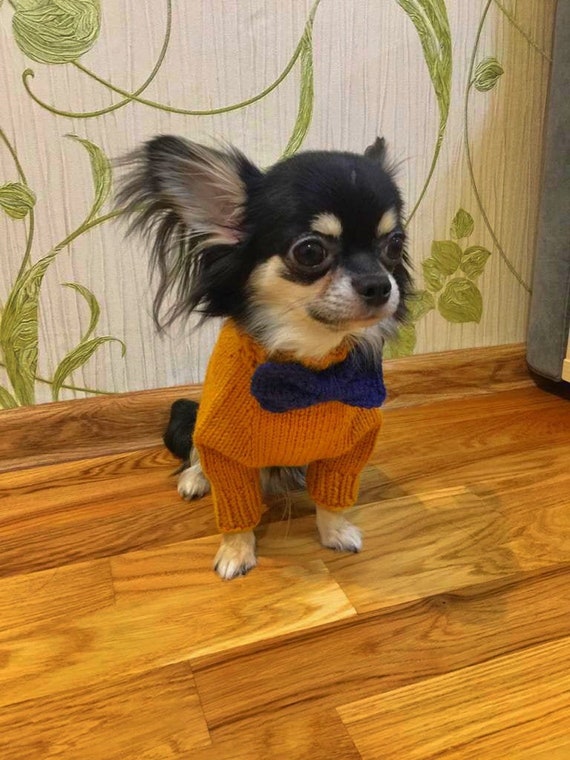 clothes for tiny chihuahua