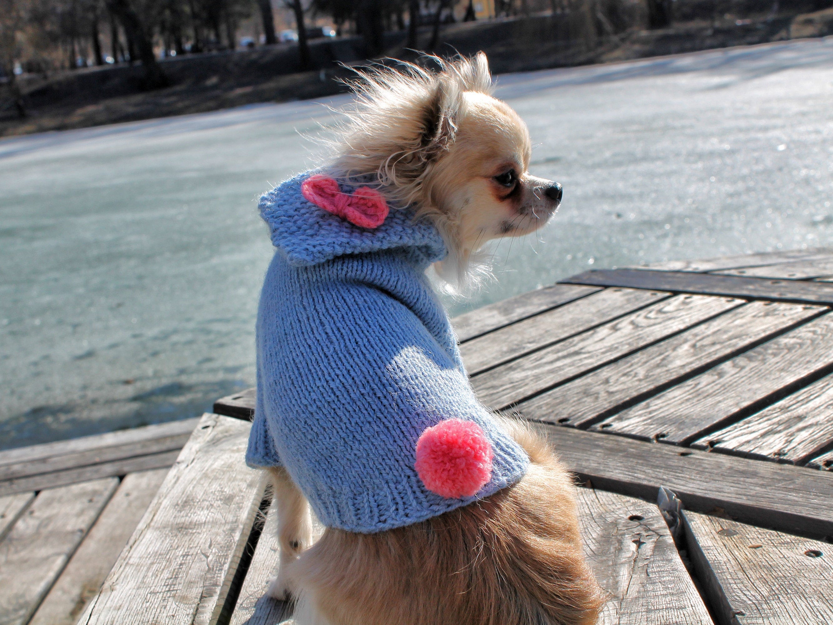 Dog sweaters for small dogs Etsy