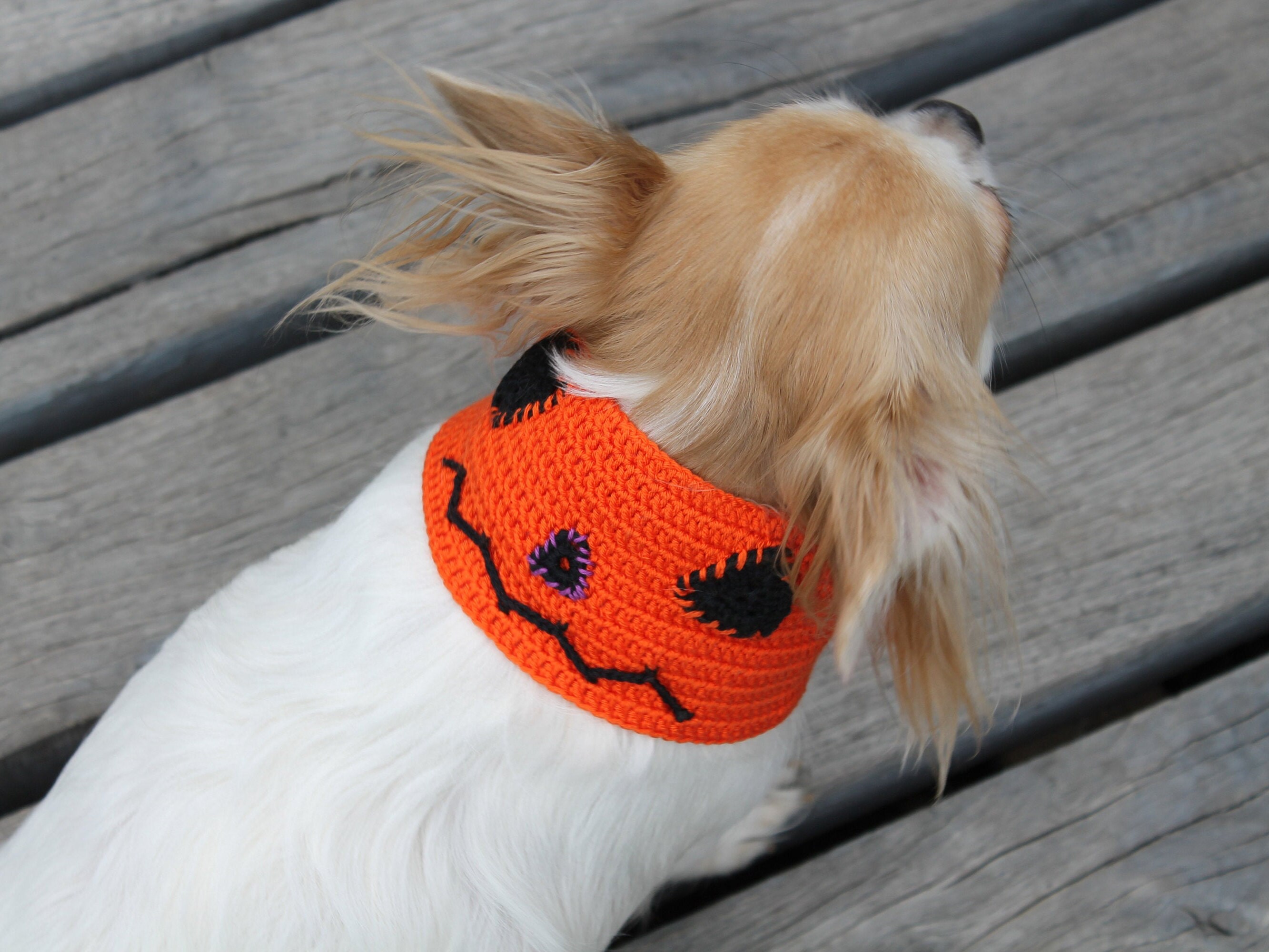 Halloween pattern for dog dog snood pattern halloween dog | Etsy