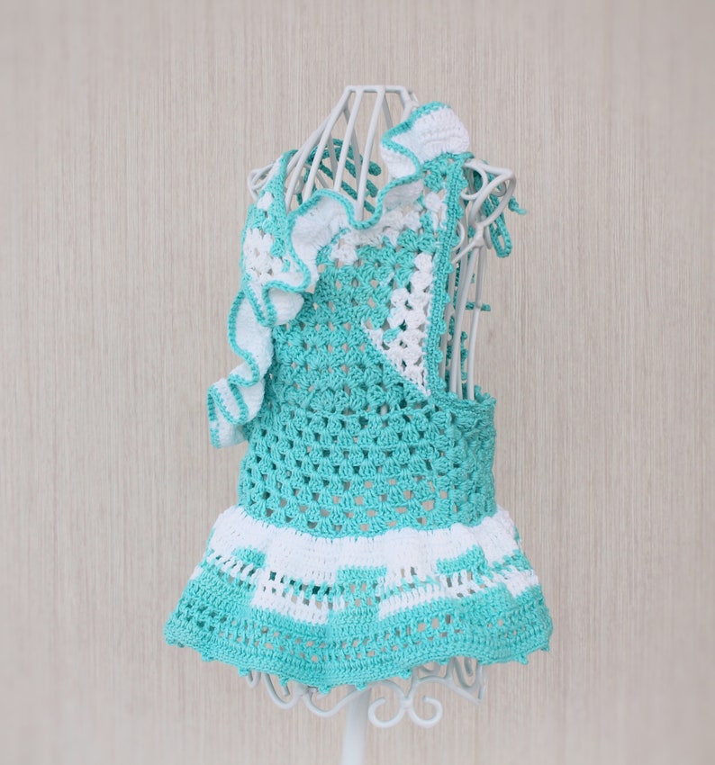 Blue dress dog ruffle dress for a dog girl dog clothing Etsy