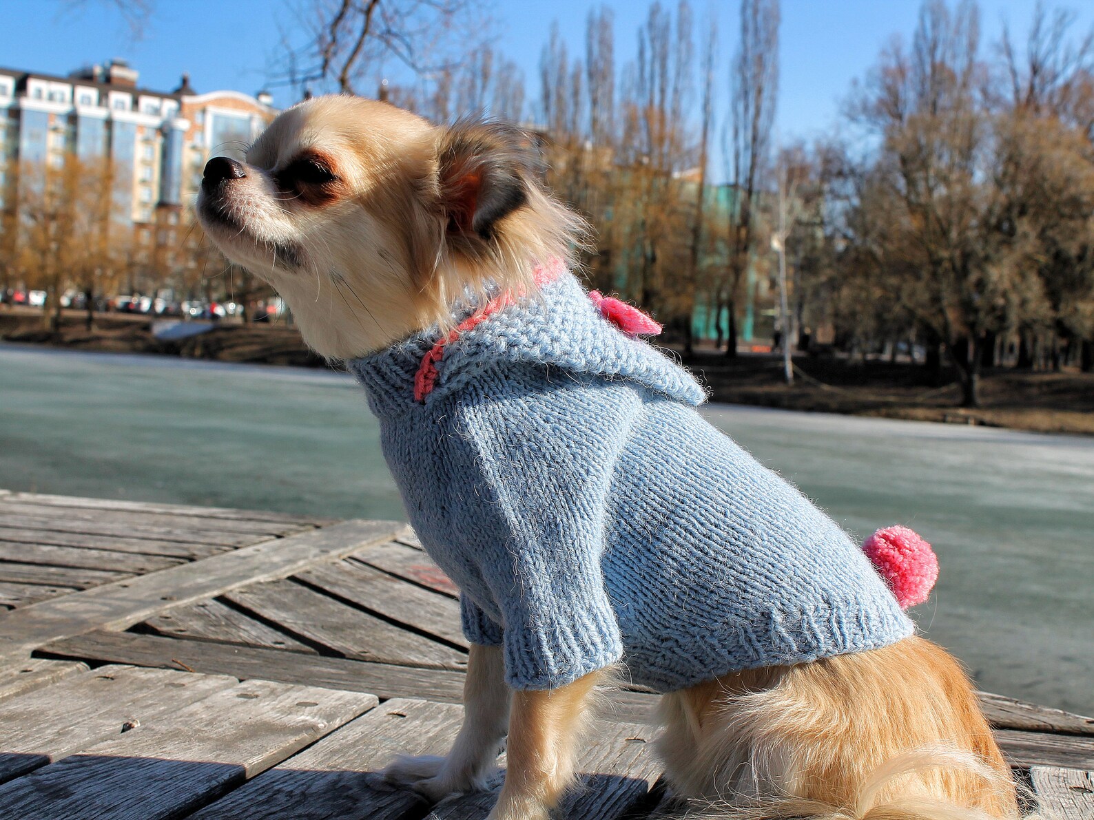 Dog sweaters for small dogs Etsy