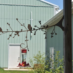 Tree Branch For Hanging Bird Feeders