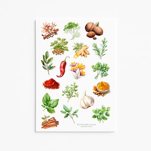 Conjunto de adesivos de ervas e especiarias – Adesivos botânicos de cozinha para planejadores, diários e livros de receitas