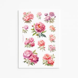 Elegantes pegatinas de flores de peonía: calcomanías florales de acuarela para álbumes de recortes y manualidades