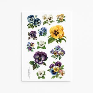 Stickers pensées botaniques – Stickers floraux aux couleurs vives pour les amateurs de printemps et de jardinage
