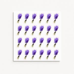 Pegatinas de lavanda / Hoja de pegatinas de ramo floral morado / Calcomanías botánicas / Decoración para planificador