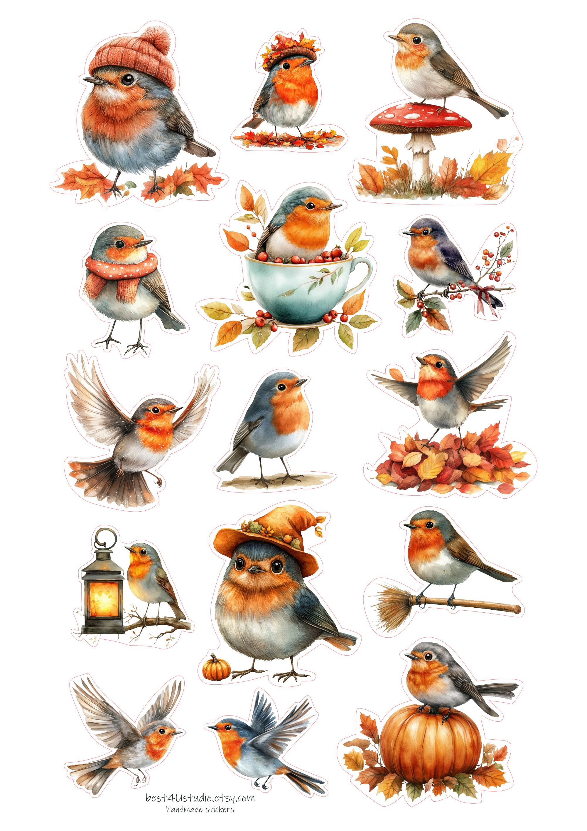 Ensemble De Cliparts De Noël Rouge-gorge Oiseau PNG | Rouge-gorge à L'aquarelle Sur Branches De Houx Et De Pin | Illustrations De Vacances D'hiver | Série N° 588 - France