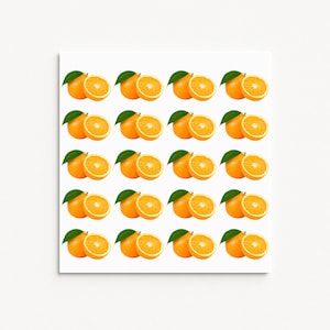 Oranjestickers, citrusstickers, fruitstickers, dagboekstickers, plannerstickers, keukenstickers, decoratieve stickers