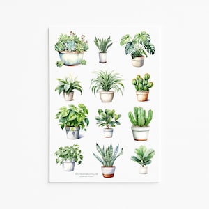 Stickerset kamerplant – Leuke kamerplantstickers voor tijdschriften, planners en knutselprojecten