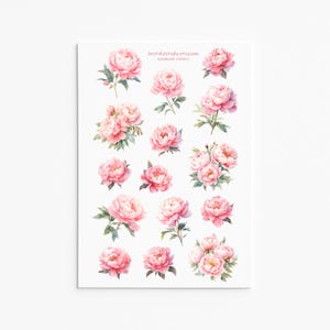 Elegante Rosa Pfingstrose Sticker - Aquarell Blumen Aufkleber für Planer, Journals, Scrapbooking und Dekor