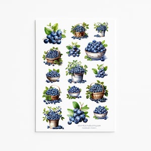 Blueberry Stickers – Sweet Botanical Stickers for Journaling, Scrapbooking, and Crafts