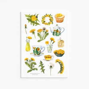 Löwenzahn-Aufkleber - Botanischer Tee & Natur-inspirierte Designs für Journaling, Scrapbooking und Kunsthandwerk