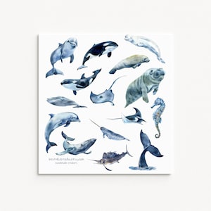 Autocollants animaux océaniques, animaux marins, ensemble de vie océanique, autocollants dauphins, autocollants nautiques, autocollant baleine, autocollants de planificateur, autocollants de journal