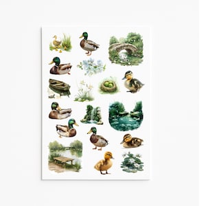 Adesivi per laghetti con anatre, Vita di stagno, Adesivo natura, Illustrazione di anatre, Adesivi di uccelli acquatici, Anatre, Dipendente da adesivi, Regali con anatre, Fauna selvatica, Scena di stagno