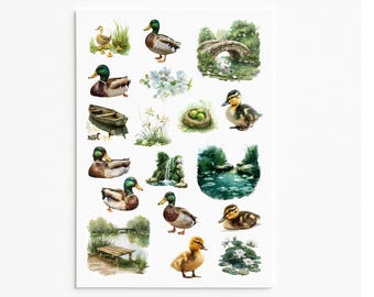 Duck Pond Stickers: Nature Wildlife Vinyl Decals