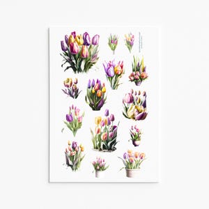 Stickers jardin tulipes vibrantes - Stickers floraux aquarelles pour travaux manuels et décoration printanière