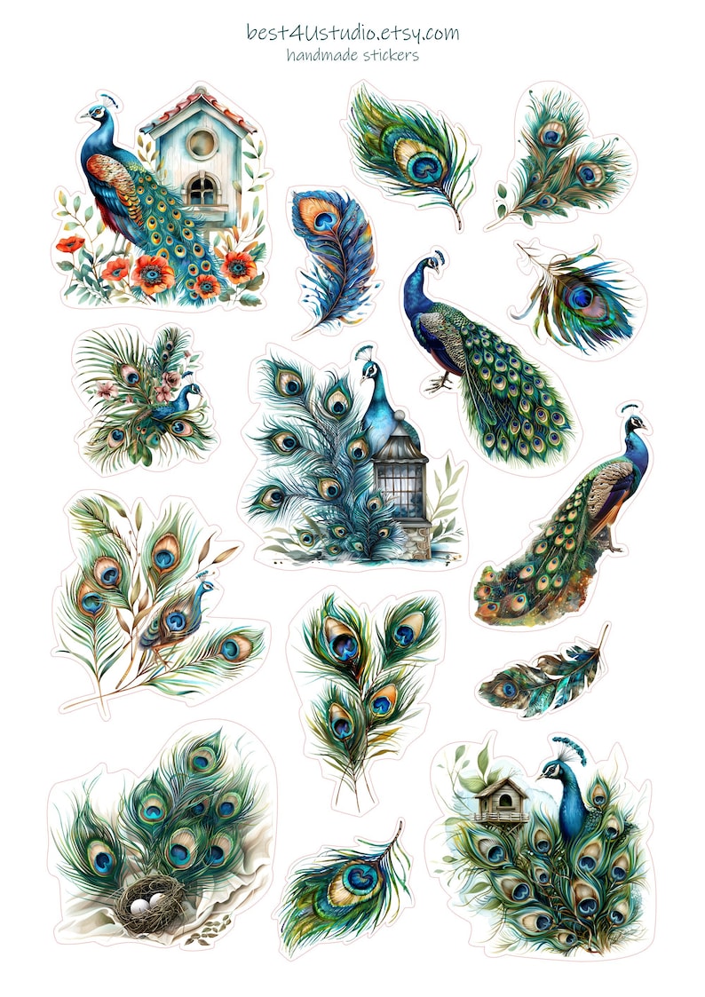 Peacock Sticker Sheet: Tropical Bird & Feather Planner Stickers - Etsy