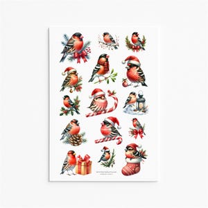 Bullfinch Christmas Sticker Sheet Festive Bird Winter Holiday Decor