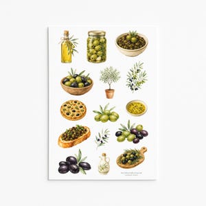 Puede incluir: Una hoja de pegatinas con ilustraciones en acuarela de aceitunas, aceite de oliva en una botella de vidrio y una aceitera de cerámica, un frasco de aceitunas, un cuenco de tapenade, un olivo, focaccia, bruschetta y ramas de olivo.