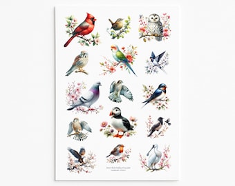Pegatinas de pájaros florales: Arte de scrapbooking con estilo cottagecore