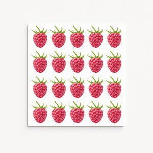 Hoja de pegatinas de frambuesa / Pegatinas de vinilo mate de frutas / Lindas calcomanías de frambuesa para diarios, agendas y manualidades