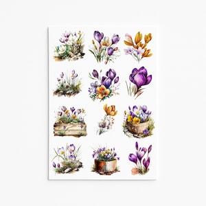Adesivi con fiori di croco / Foglio di adesivi floreali primaverili / Decalcomanie botaniche viola e gialle / Idea regalo per il giardinaggio