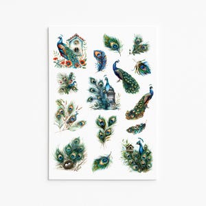 Feuille d'autocollants de paon, autocollant de paon, autocollants de planificateur, autocollants de plume, plume de paon, oiseau tropical, autocollants de journal