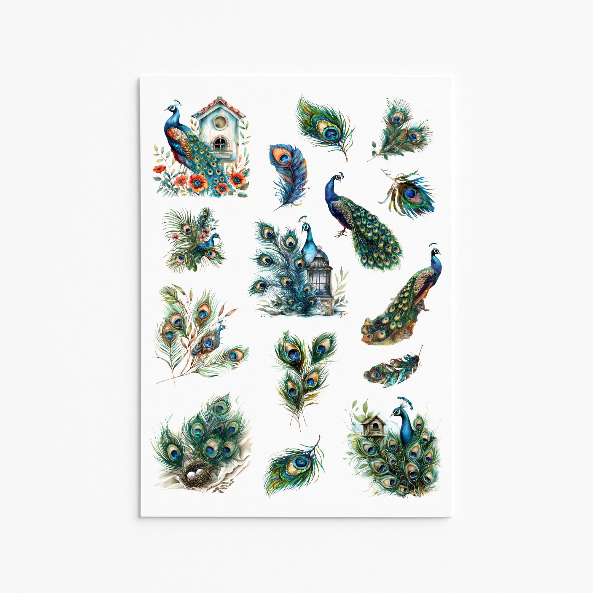 Peacock feather tattoo - Etsy België, image size:2000x2000