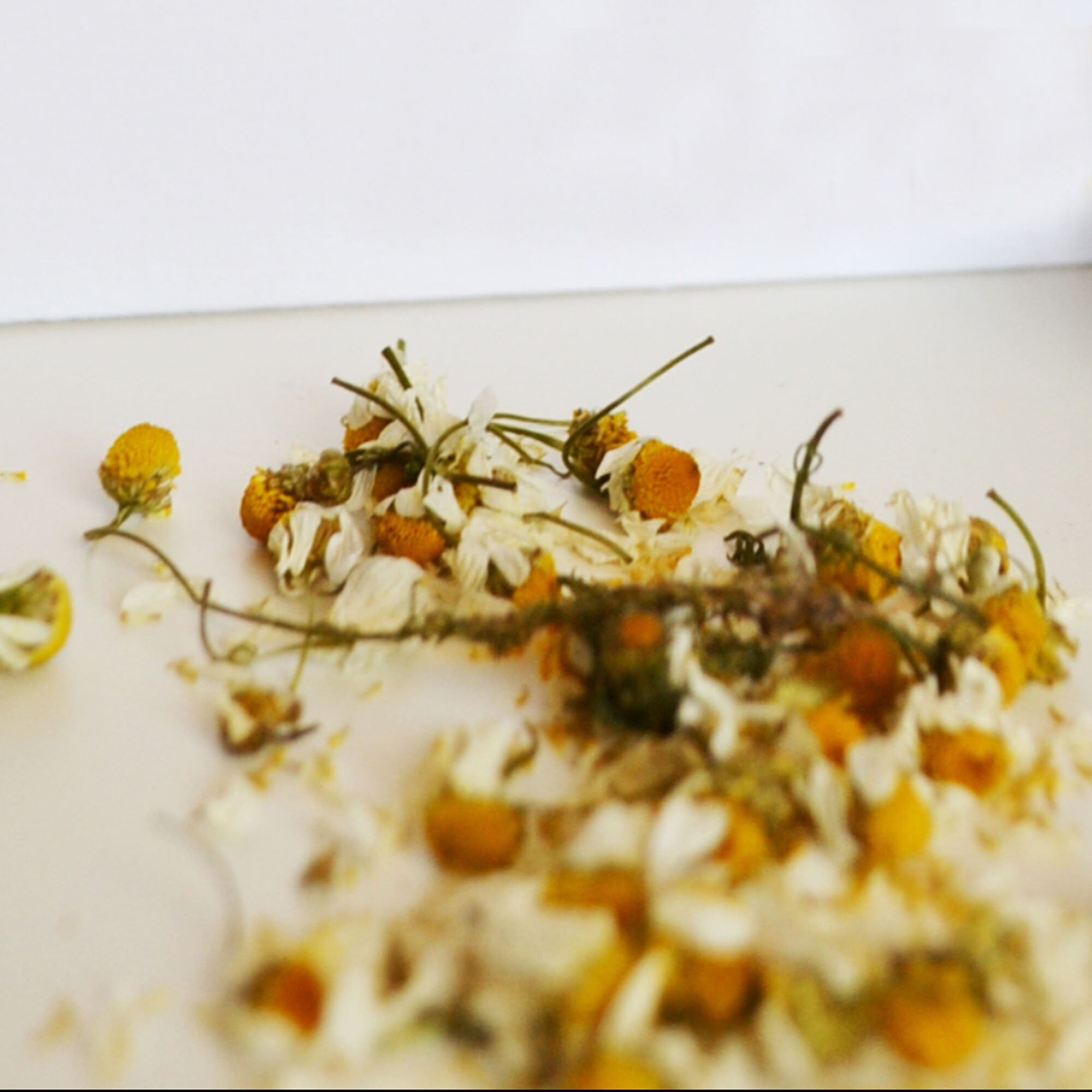 Tisane Artisanale Camomille Romaine Bio