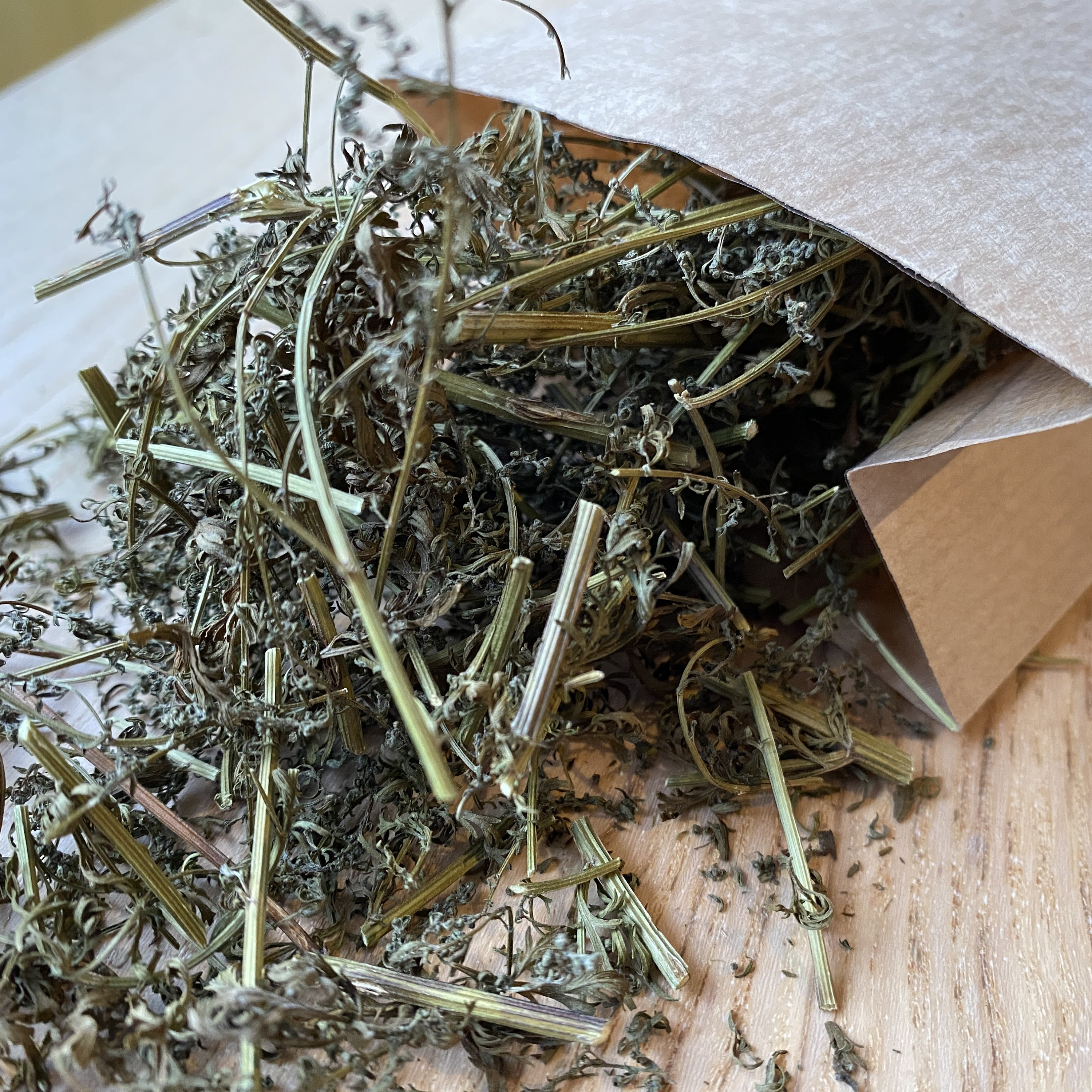 Tisane Artisanale Artemisia Annua Bio