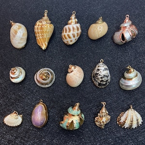 May include: Assortment of 15 seashell charms with gold accents. The charms are in various shapes, sizes, and colours, including white, brown, black, and iridescent.