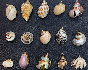 May include: Assortment of 15 seashell charms with gold accents. The charms are in various shapes, sizes, and colors, including white, brown, black, and iridescent.