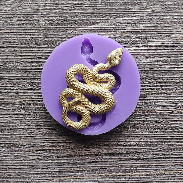 Moules en Silicone serpent Cobra, argile à gâteau, bijoux, biscuits au chocolat de ferme pour moule serpent fondant moule en Silicone serpent