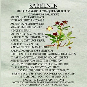 Sabelnik Marsh Cinquefoil Comarum Palustre Сабельник, Herbal Tea image 2