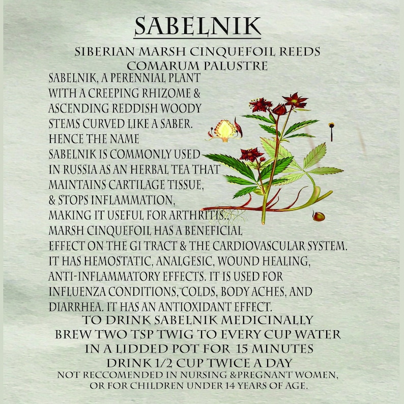 Sabelnik Marsh Cinquefoil Comarum Palustre Сабельник, Herbal Tea image 2