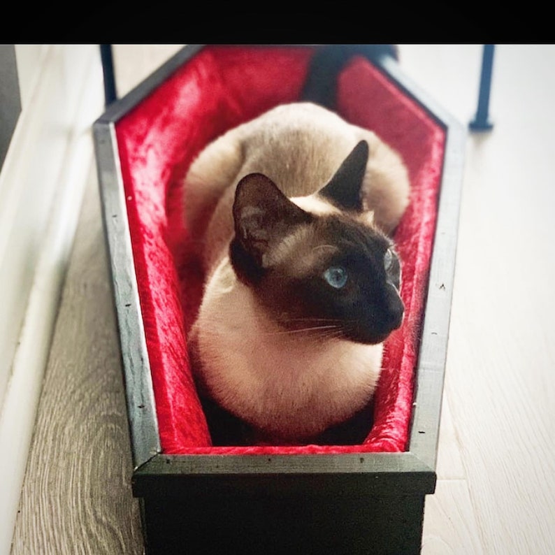 Coffin pet bed gothic coffin padded velvet lined pet bed Etsy