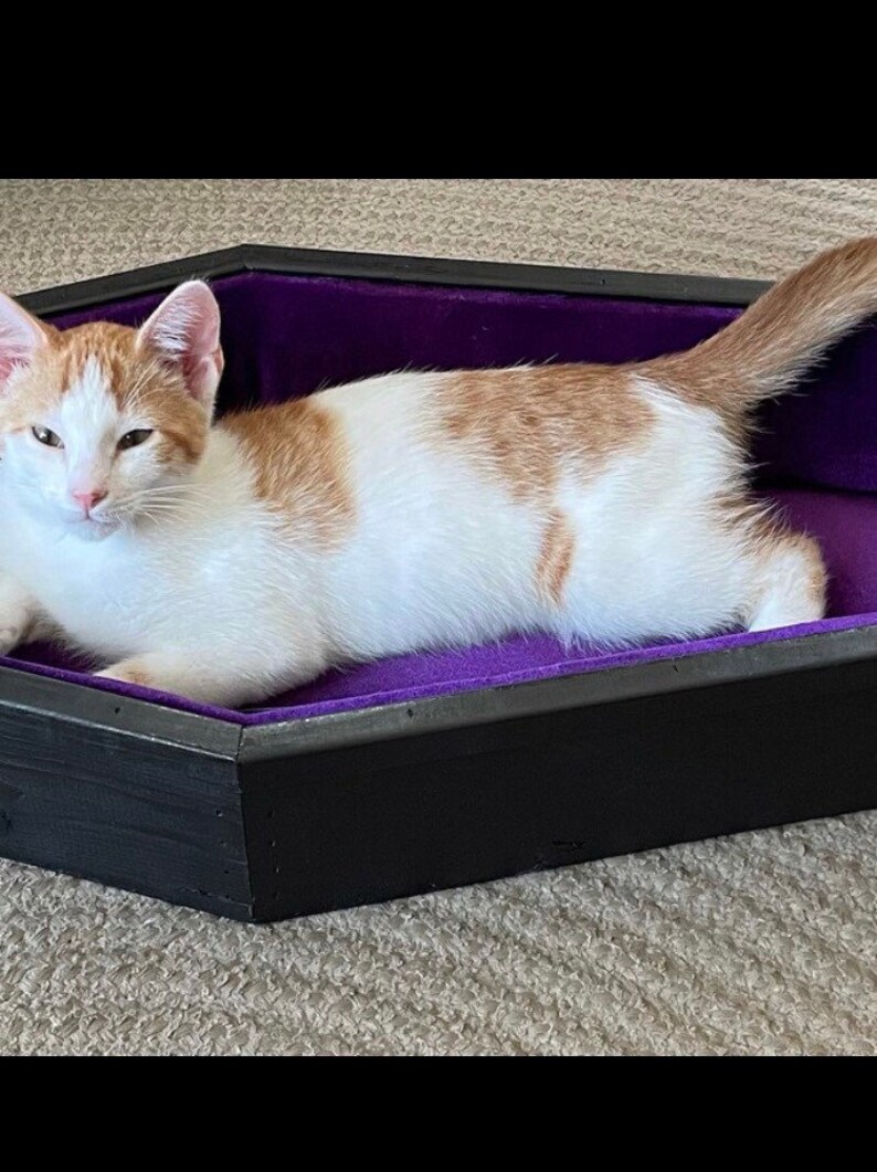 𝖈𝖔𝖋𝖋𝖎𝖓 𝖇𝖊𝖉 𝖋𝖔𝖗 𝖊𝖎𝖙𝖍𝖊𝖗 𝖈𝖆𝖙 𝖔𝖗 𝖉𝖔𝖌 Etsy