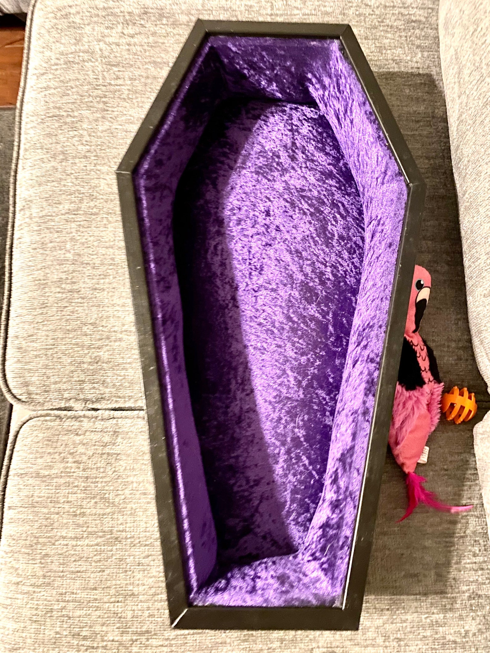 Coffin pet bed gothic coffin padded velvet lined pet bed Etsy